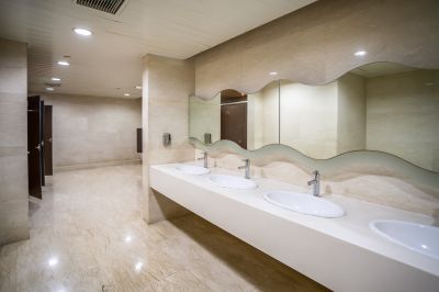Luxurious Bathroom Spaces